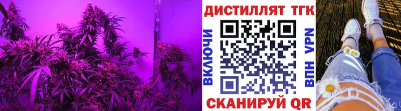 OMG как войти  Ухта  ТГК Wax 