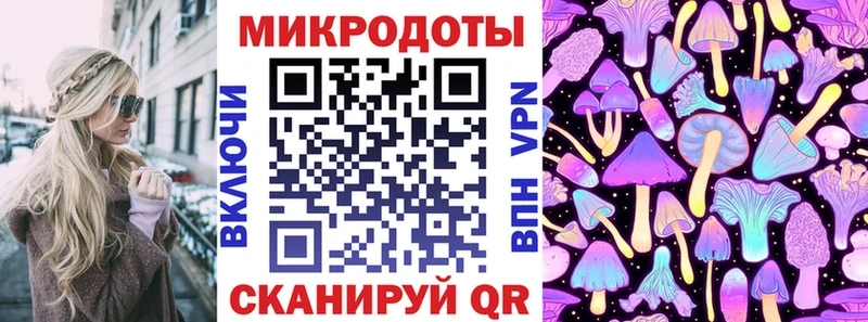 Галлюциногенные грибы Psilocybe  Ухта 